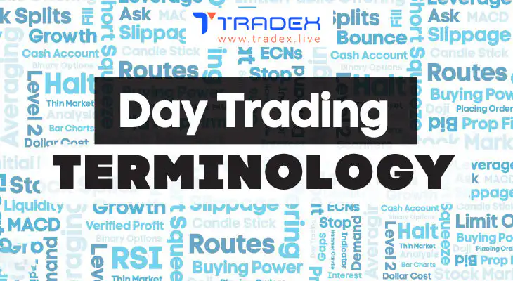  10 Commonly Used Stock Market Jargons Every Beginner Must Know