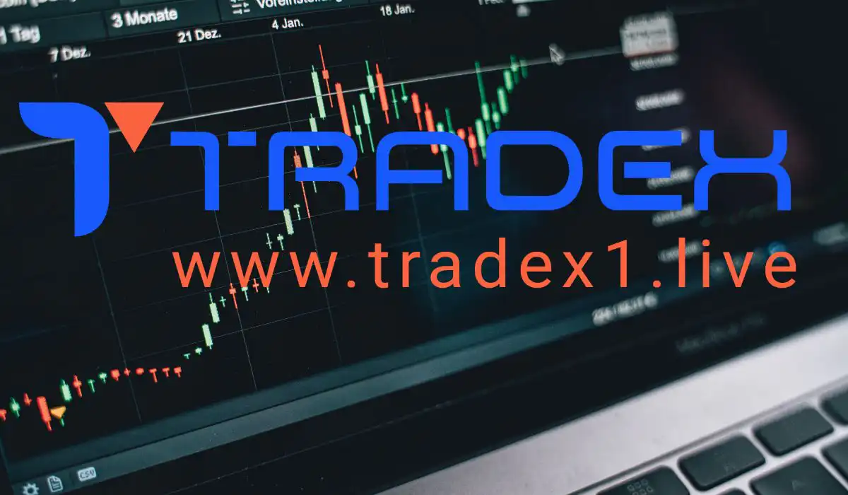 bazaarFx vs tradex1.live